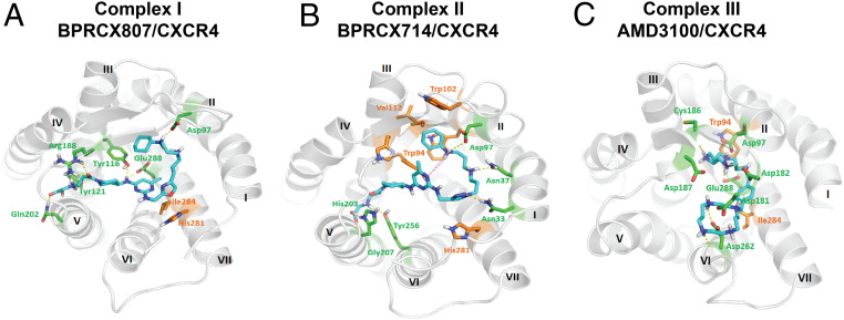 Fig. 8.