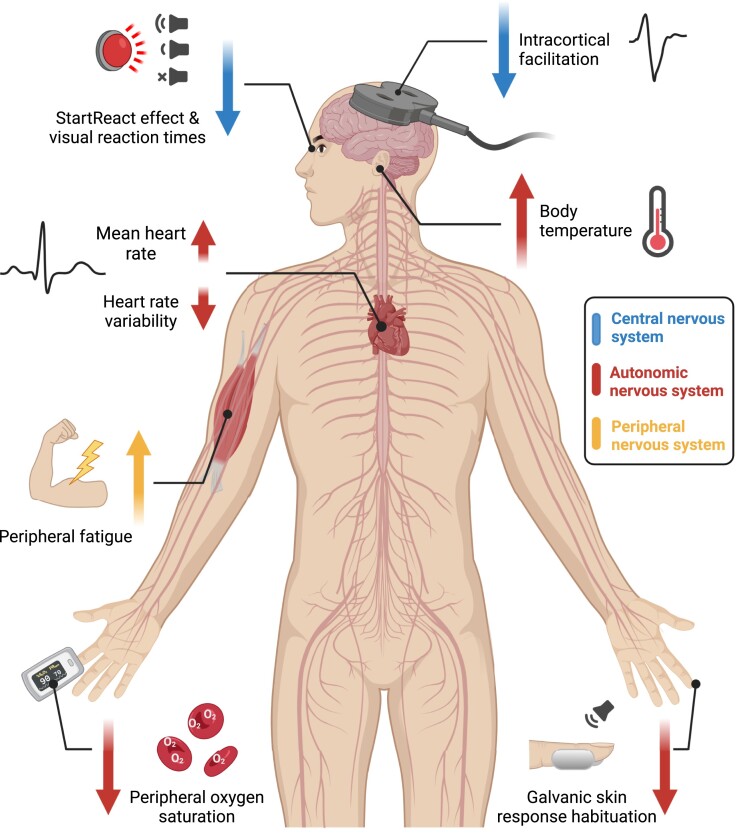 Graphical abstract