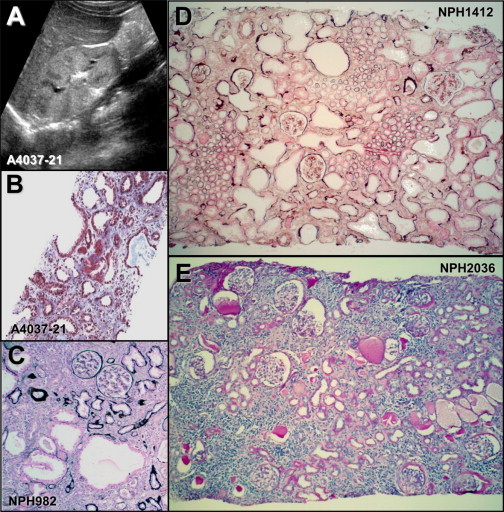 Figure 2