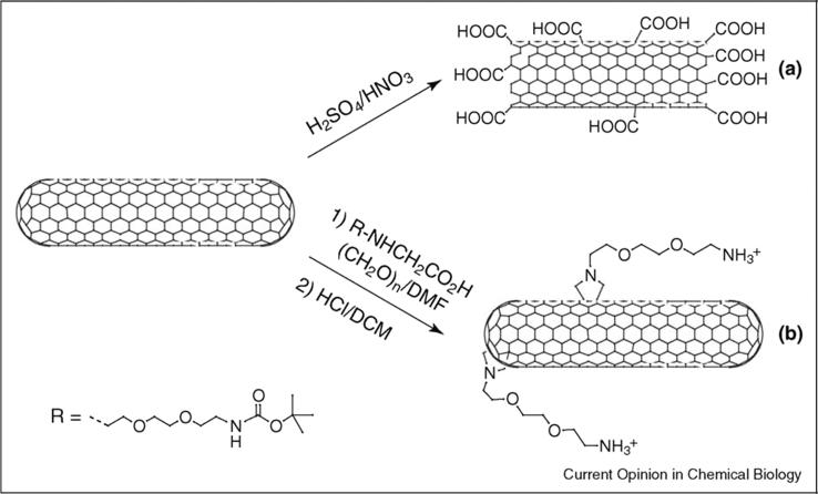 Fig. 9