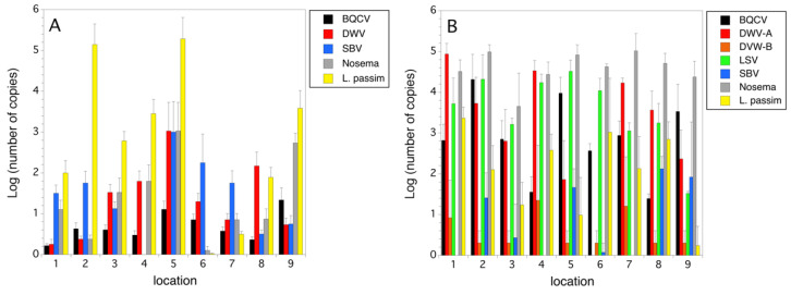 Figure 7