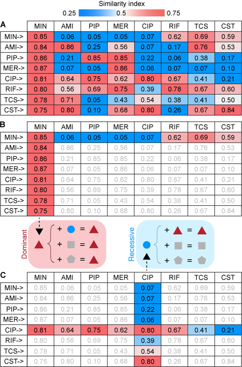 FIG 3