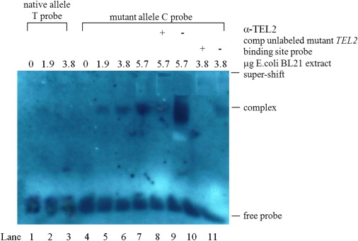 Figure 6