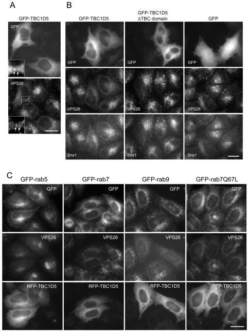 Fig. 9.