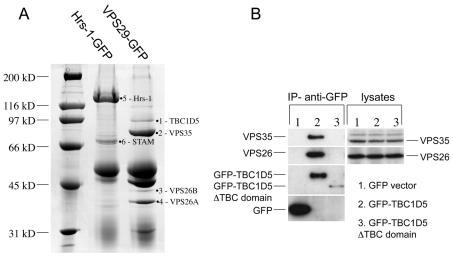 Fig. 8.