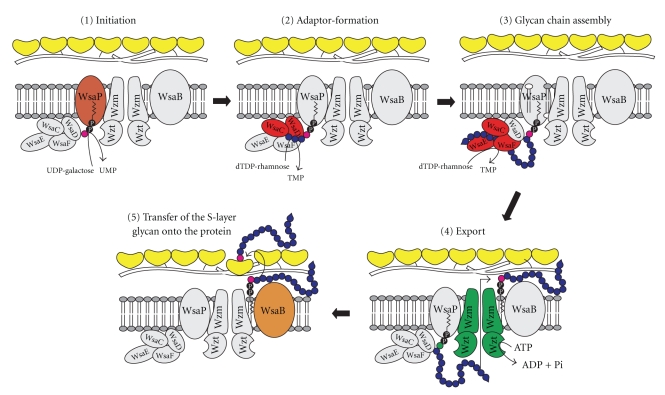 Figure 4