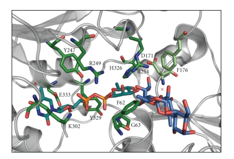 Figure 6