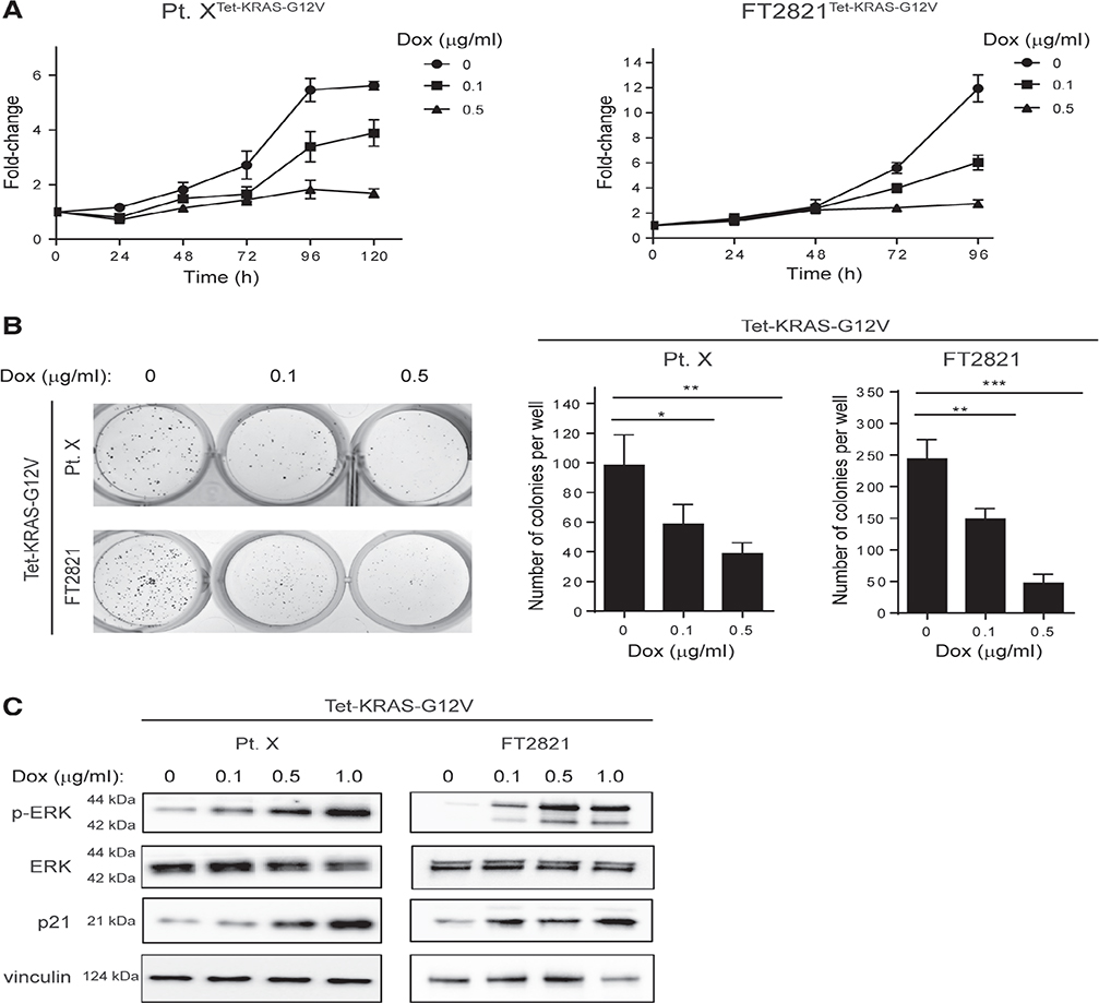 Figure 5.