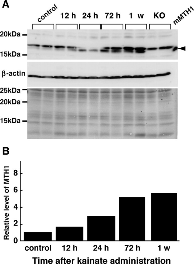 Figure 5.