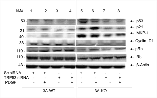 FIGURE 9.