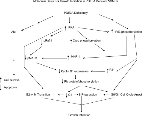 FIGURE 11.