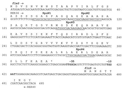 FIG. 7