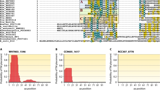 FIG. 12.