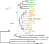 FIG. 7.