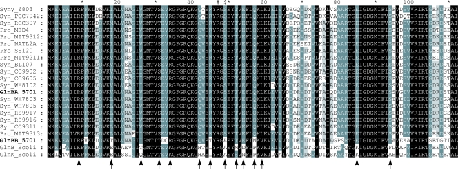 FIG. 8.