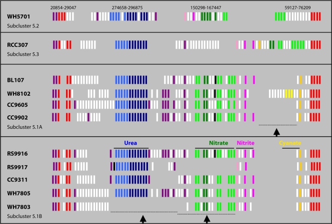 FIG. 9.