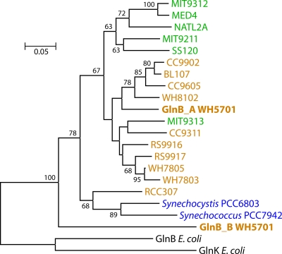 FIG. 7.