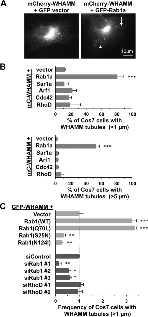 FIGURE 1: