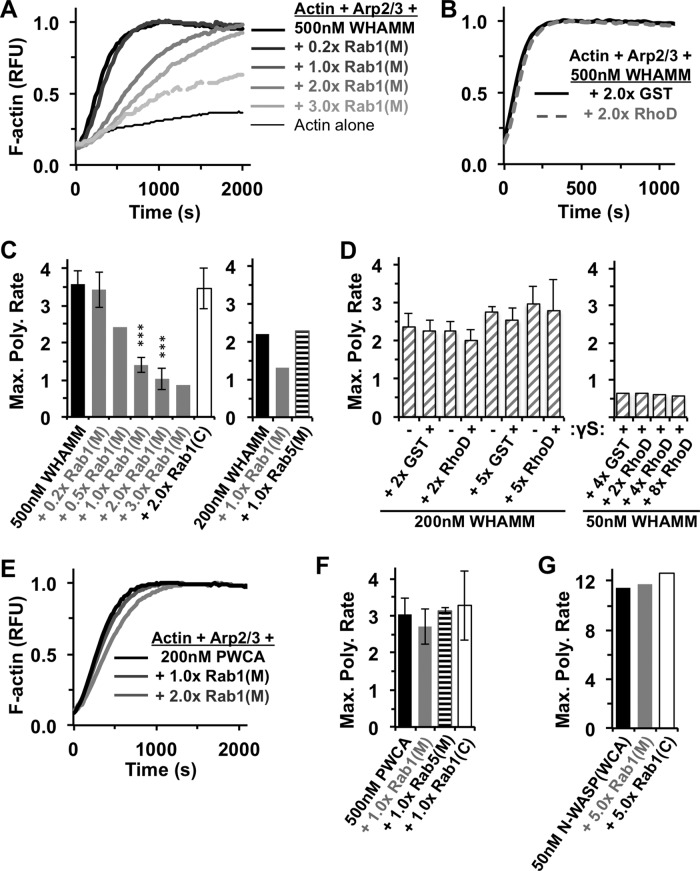 FIGURE 6: