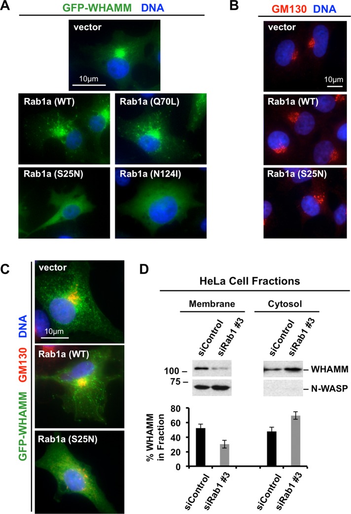 FIGURE 4: