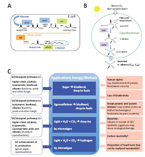 Fig. (4)