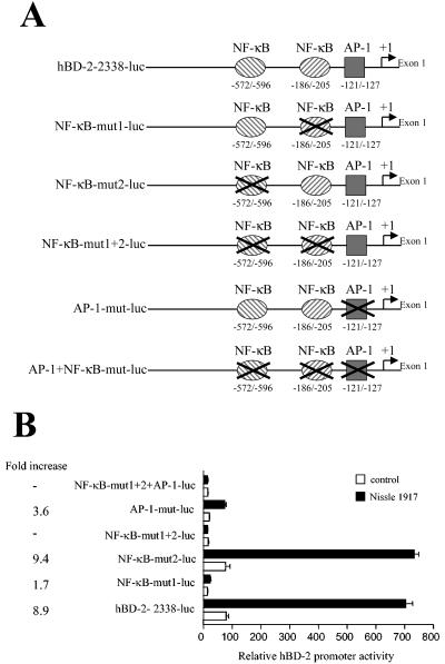 FIG. 6.