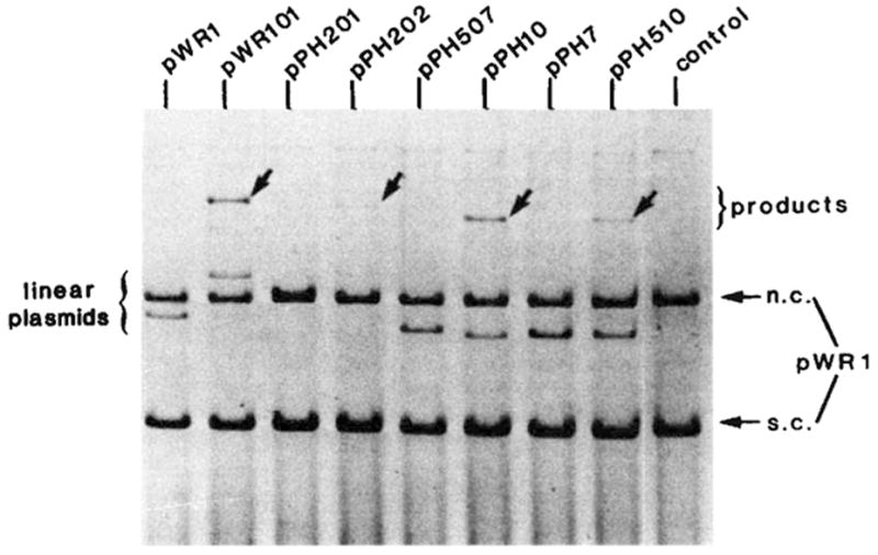 Fig. 7