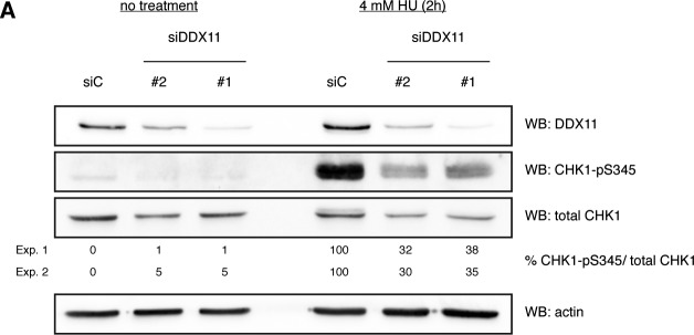 Figure S4.