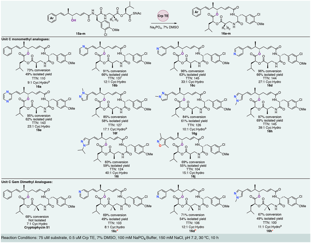 graphic file with name nihms-1560423-t0001.jpg