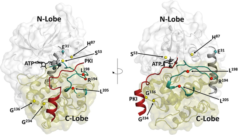 Fig. 7.