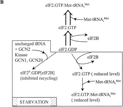 FIG. 11