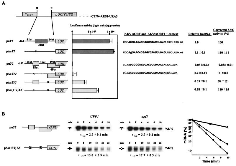 FIG. 13