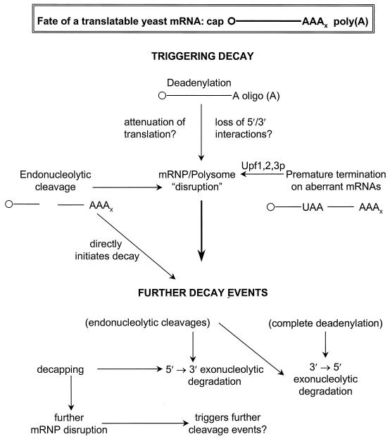 FIG. 18