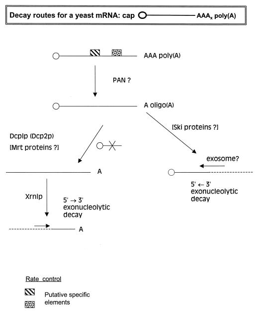 FIG. 17