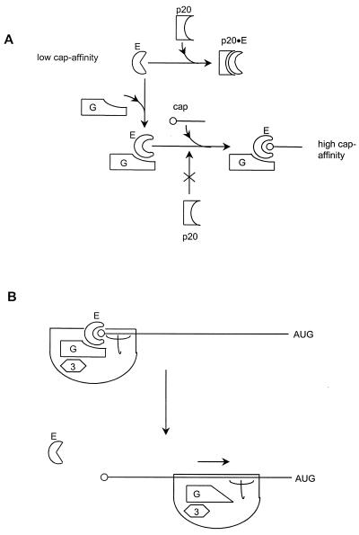 FIG. 8