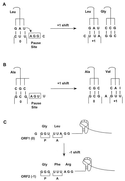 FIG. 14