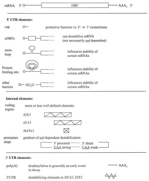 FIG. 16