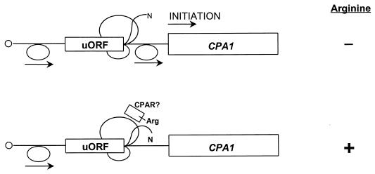 FIG. 12