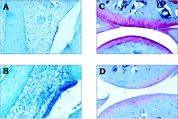 Figure 1  