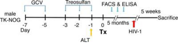 Figure 2: