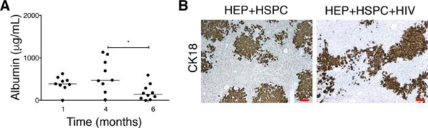 Figure 5: