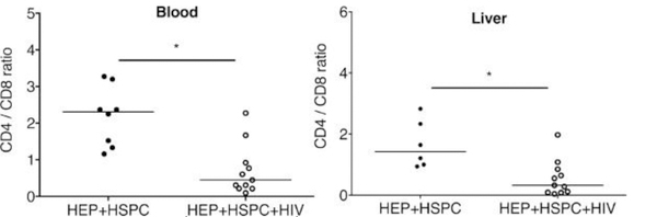 Figure 6: