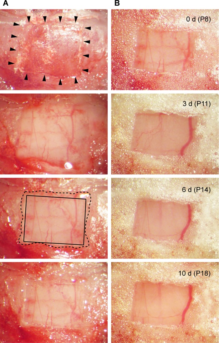 Fig. 6.