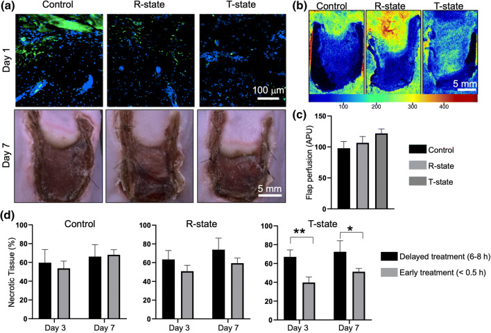 Figure 3