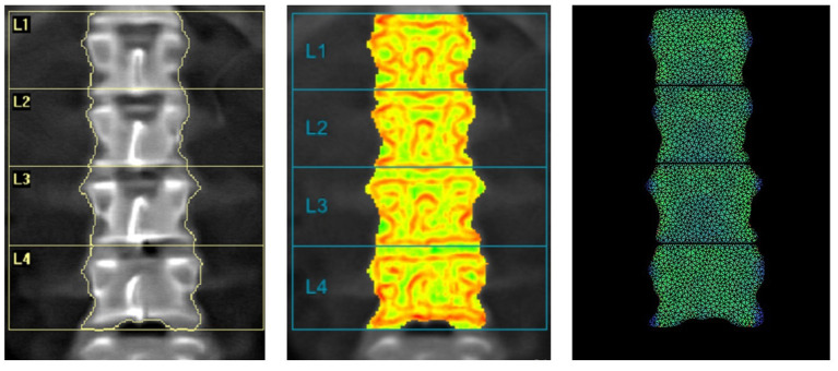 Figure 4