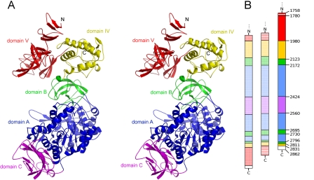 FIGURE 2.