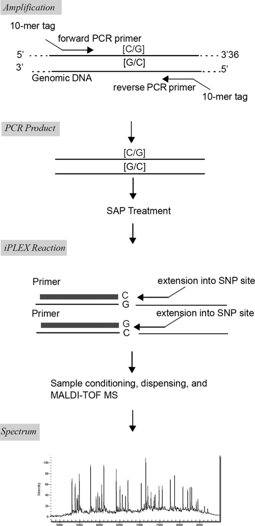 Fig. 1.