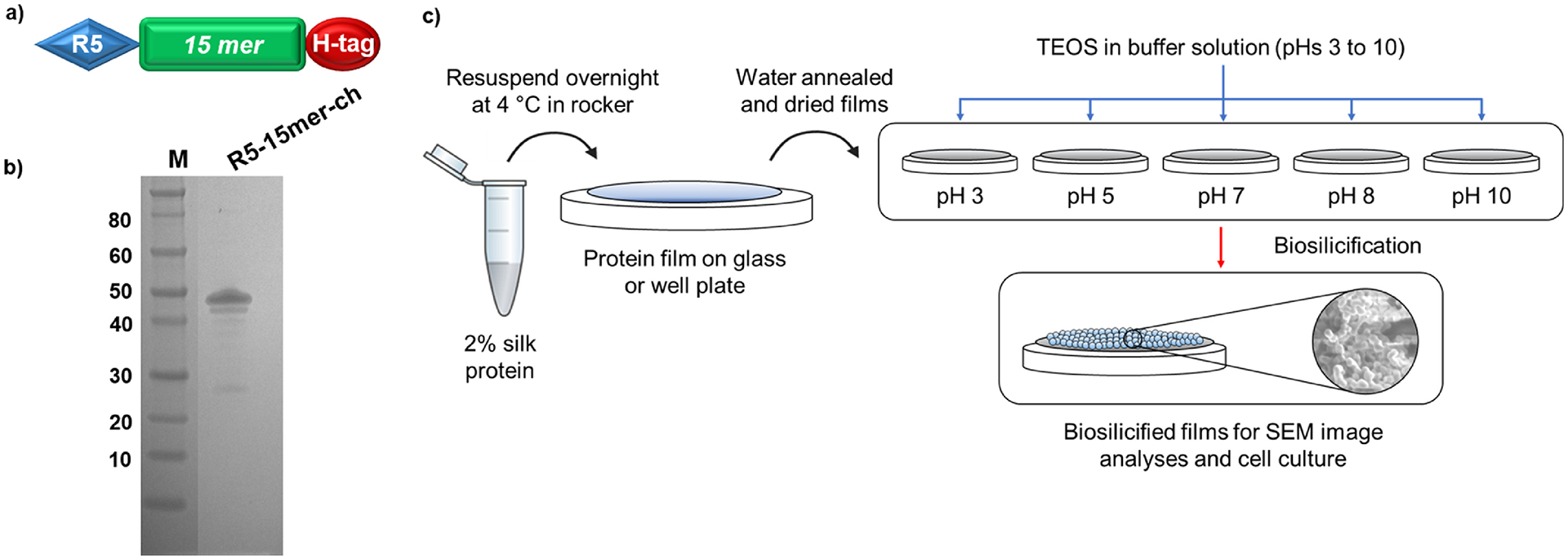 Figure 1 -