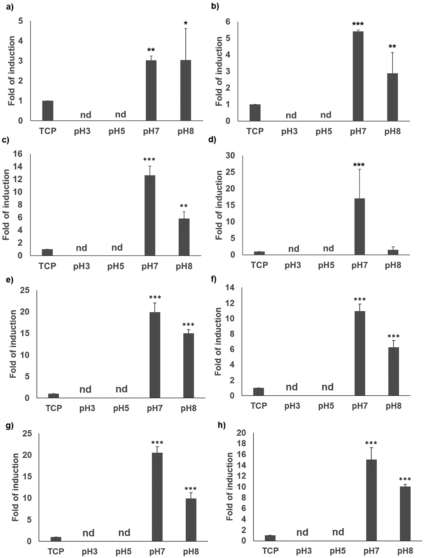 Figure 3 -