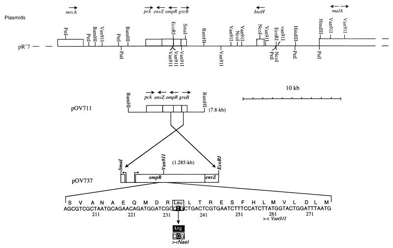 FIG. 5